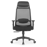 Ranger Ergonomic Executive Mesh Office Chair - Image 2