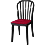 Decent Delux Visitor Chair